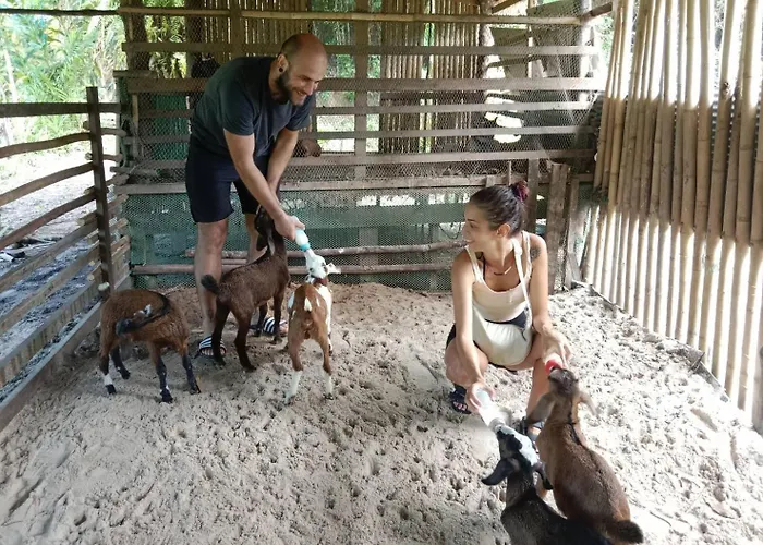Yaoisland Resort And Farm