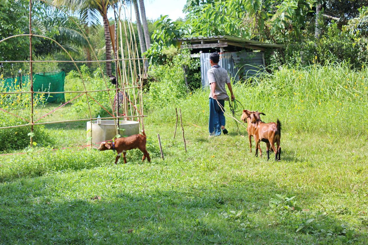 Yaoisland And Farm Station touristique Ko Yao