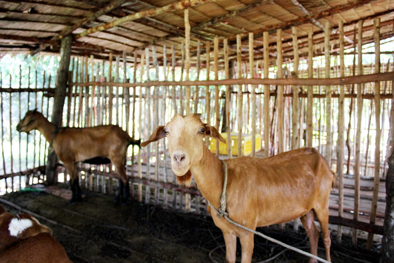 Yaoisland And Farm 3* Ko Yao